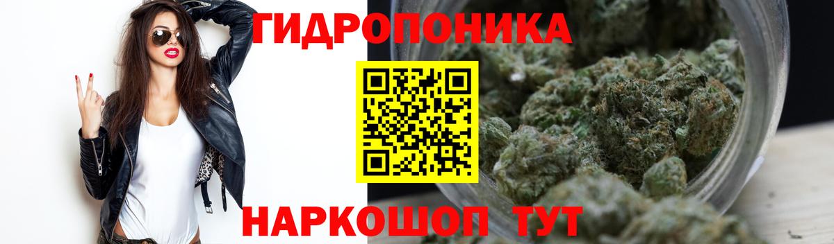 Бошки Шишки ГИДРОПОН  Конопля White Widow  Вход с VPN  Шишки марихуана конопля  Бошки марихуана гибрид  Кропоткин 